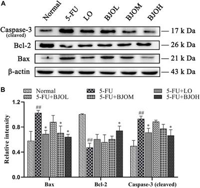 Brucea javanica oil alleviates intestinal mucosal injury induced by chemotherapeutic agent 5-fluorouracil in mice